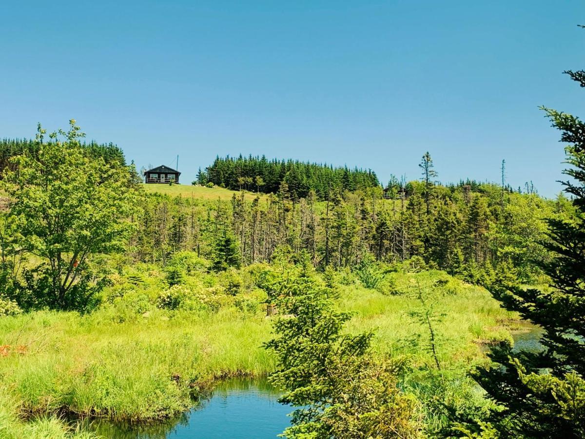 Eagle Valley Cottages Queensport المظهر الخارجي الصورة