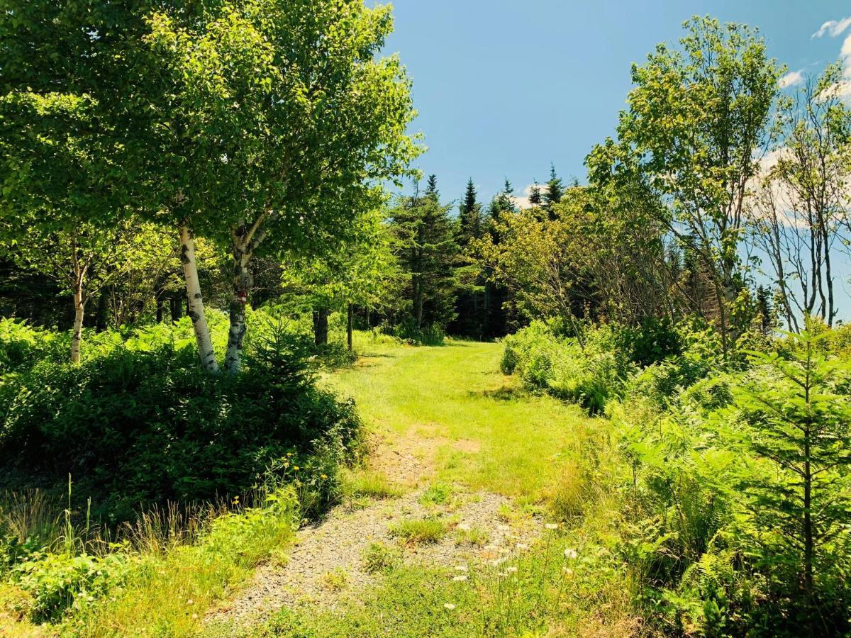 Eagle Valley Cottages Queensport المظهر الخارجي الصورة