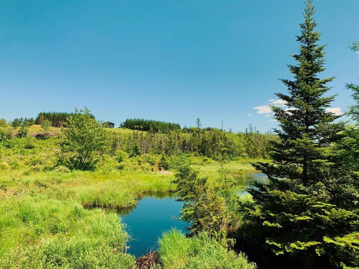Eagle Valley Cottages Queensport المظهر الخارجي الصورة